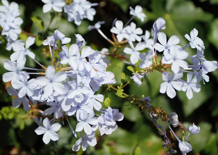 컨트리하우스 Vivienda Rural Atlantico Sur & Familias 콘일데라프론테라