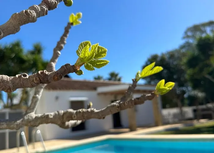 Vivienda Rural Atlantico Sur & Familias カントリーハウス コニル・デ・ラ・フロンテラ