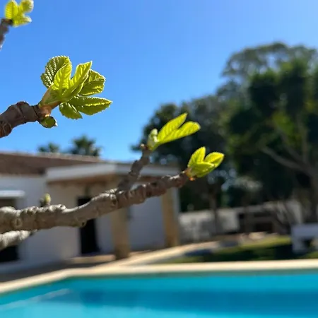 Vivienda Rural Atlantico Sur * Conil De La Frontera