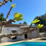 Vivienda Rural Atlantico Sur & Familias Country house Conil De La Frontera