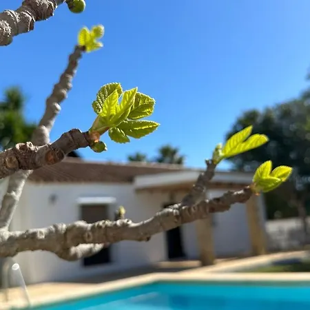 Vivienda Rural Atlantico Sur & Familias Kır Evi Conil De La Frontera